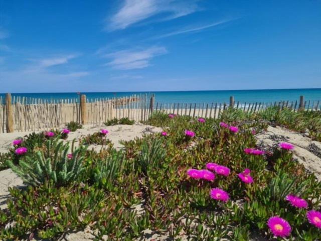 Maison Plein Pied Proximite Plage Et Commerce - 5Sir33 Villa Le Barcarès Eksteriør billede