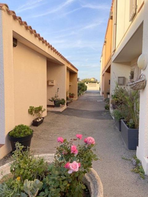 Maison Plein Pied Proximite Plage Et Commerce - 5Sir33 Villa Le Barcarès Eksteriør billede